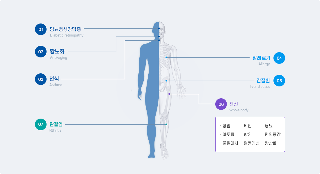 식의약품 및 화장품 개발을 위한 비임상 유효성 평가